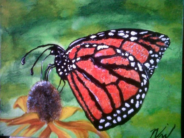 abutterfly