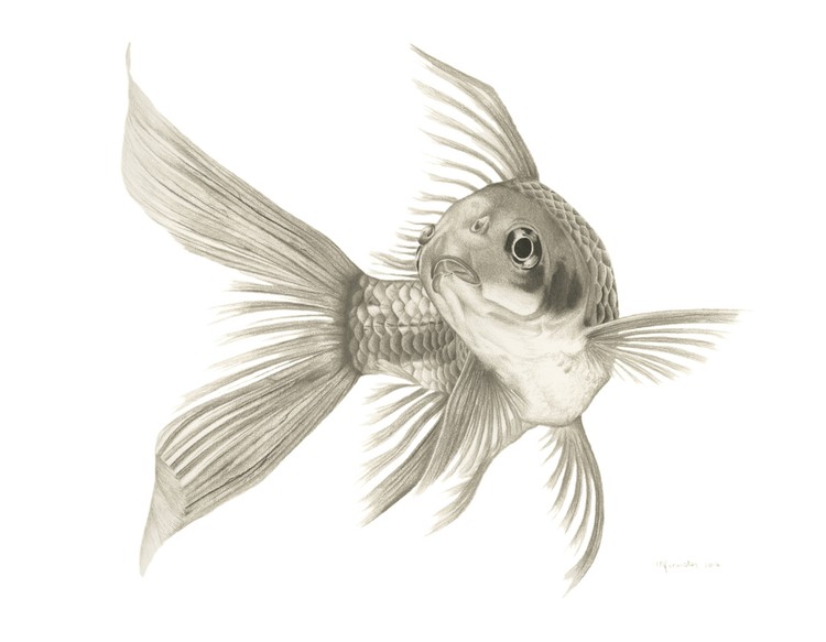 Fishy