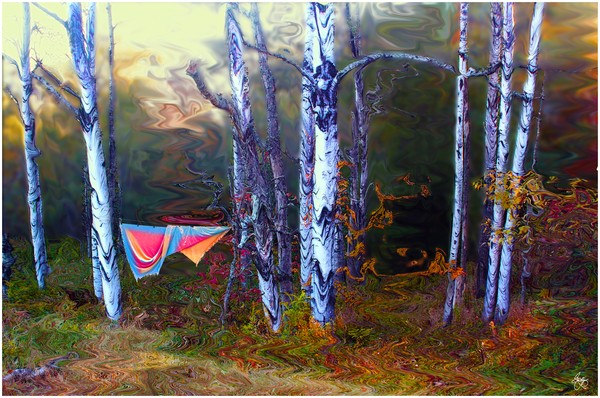 Washday in the Magic Grove