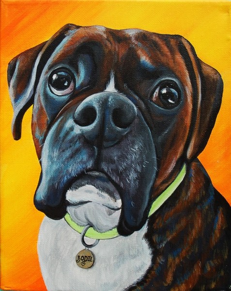 Boxer Dogs Rule
