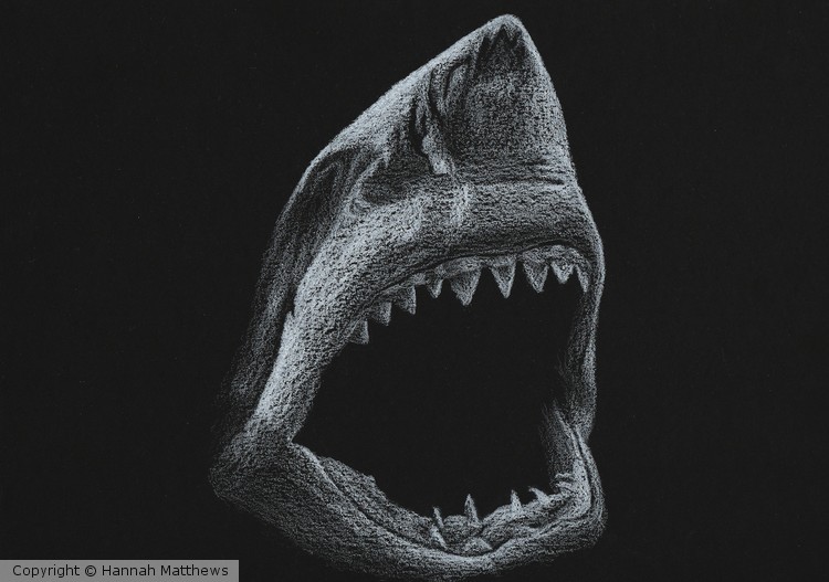Great White