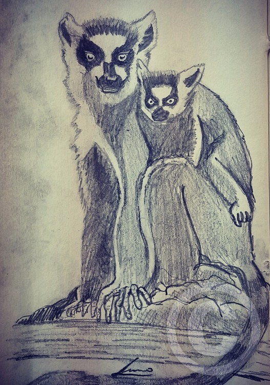 monkey