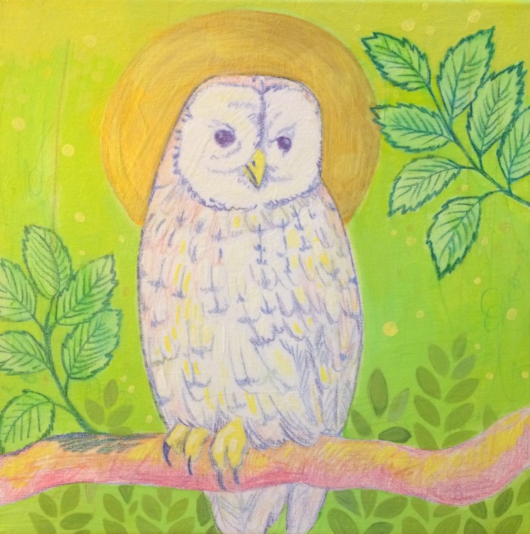 Owl
