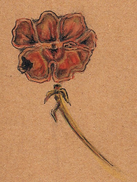 Monkey Flower Watercolor