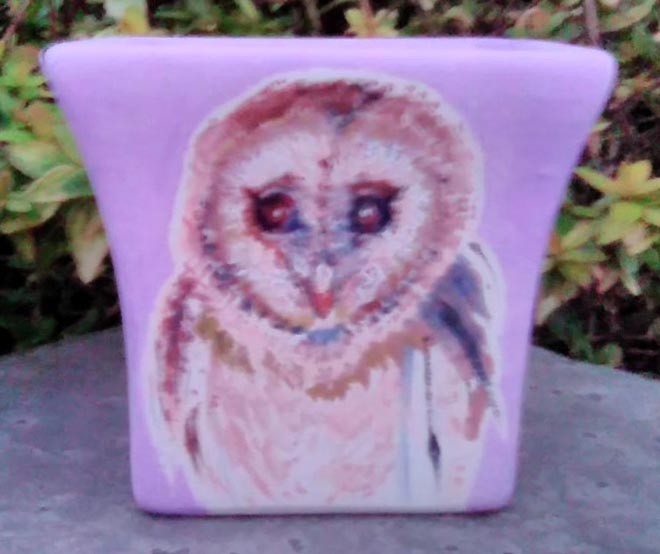Barn Owl Pot Painting