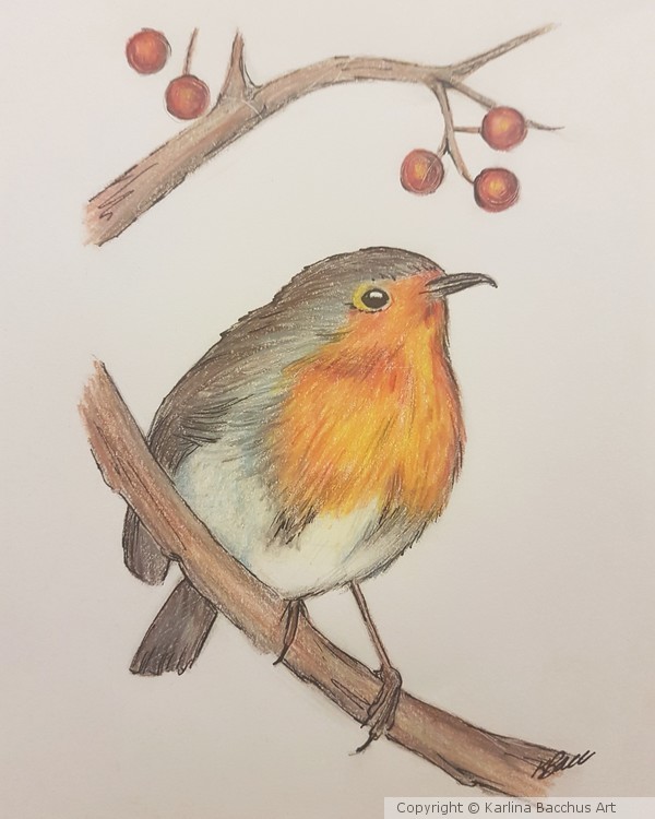 Robin and berries