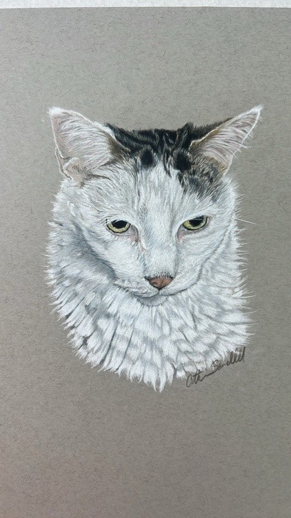 Memorial portrait Kitty