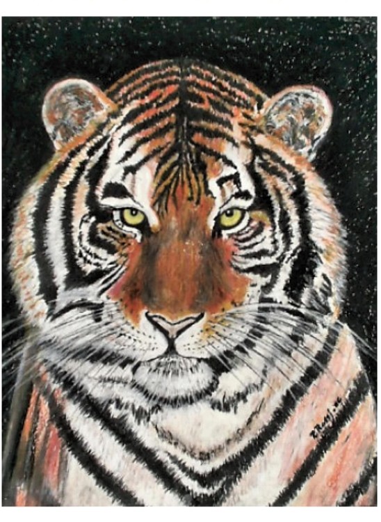 Tiger 629202665 o