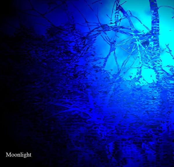 Moonlight