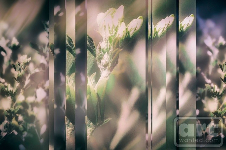 Wild Grass Collage II