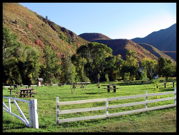 Green Pasture