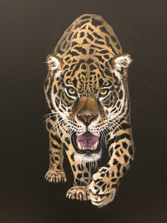 JAGUAR