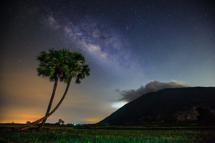 Tay Ninh  Milkyway cay Thot Not 1