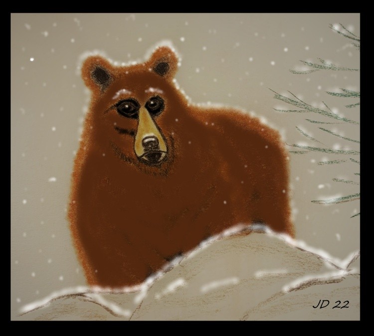 Bear snow