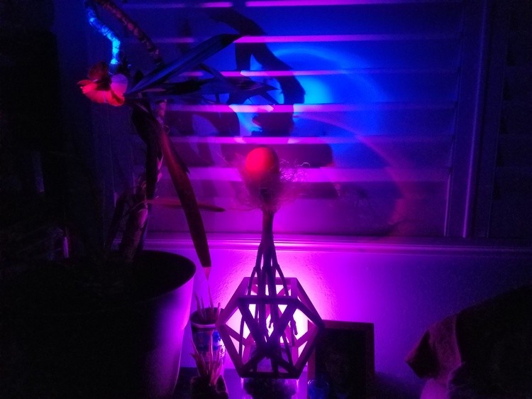 20190626 025502 (1)