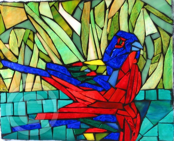 tropical bird reflection