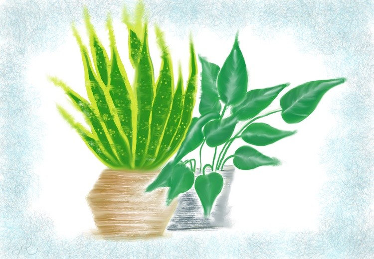 Urban garden
