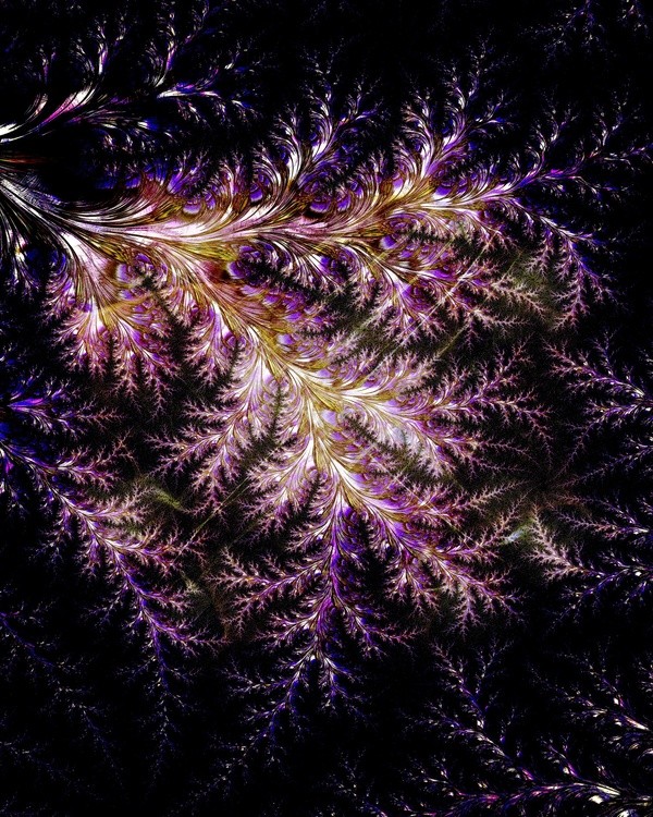 Under The Purple Pine Tree