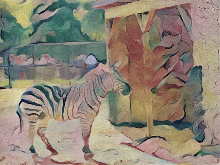 A Day At The Zoo