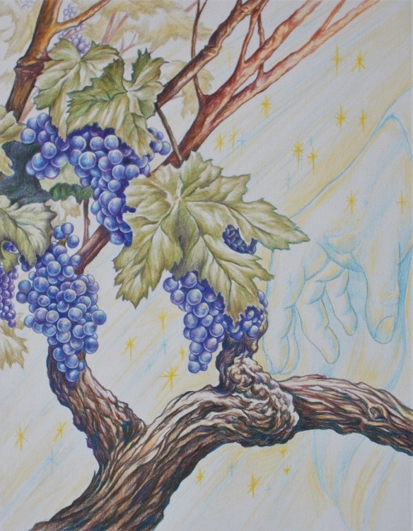 Jesus the Vine