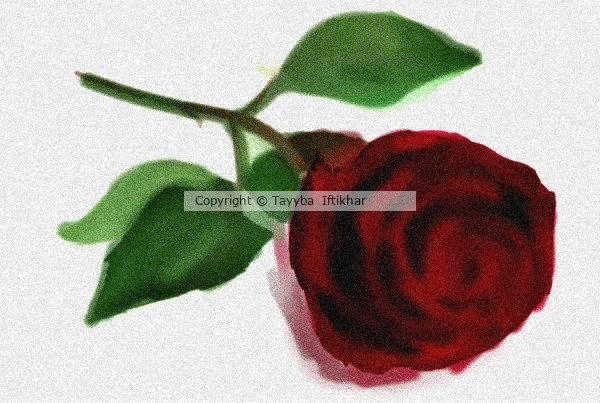 Rose 
