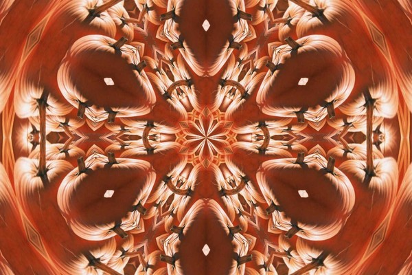 Haloween Hallucination