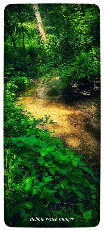 Here comes the sun.