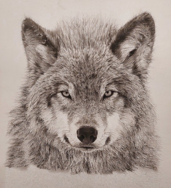 Lone Wolf