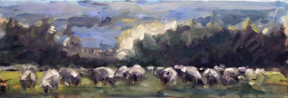 sheepscape