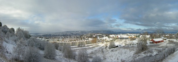 The winter