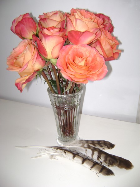 Roses and Feathers