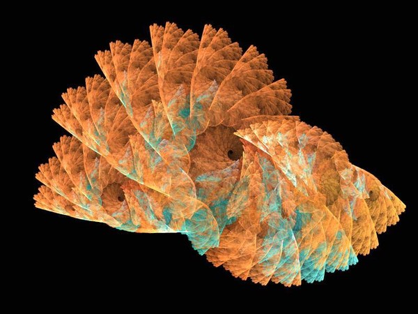 Rusty Fan Spiral.