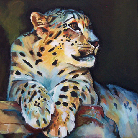 D172 snowleopard