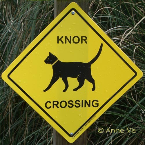 Knor crossing