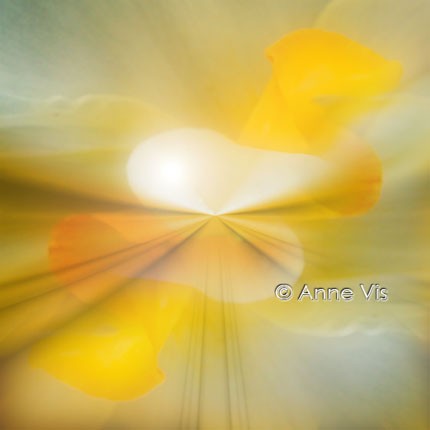 Into the Heart