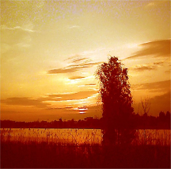 Golden Time