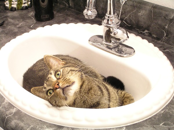 I'm ready for my bath