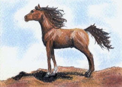 Chestnut Arabian ACEO