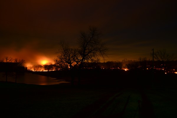 Wildfire