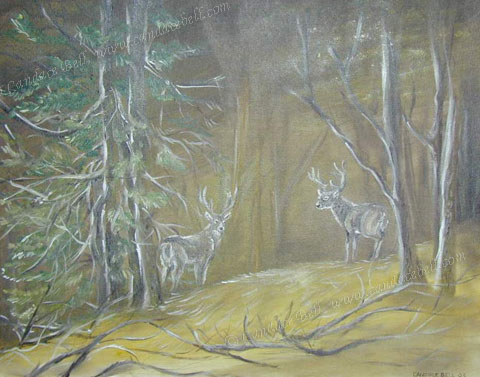 Deer