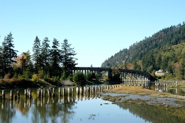 New bridge& old pilings.