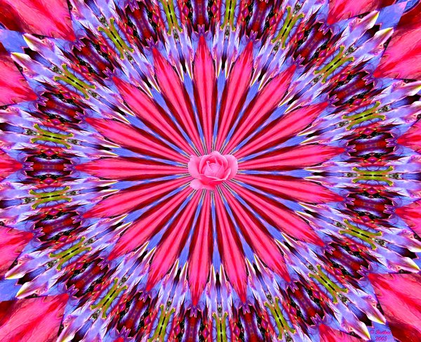 KALEIDOSCOPE OF ROSE