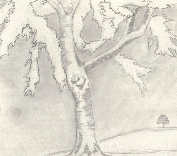 One Tree