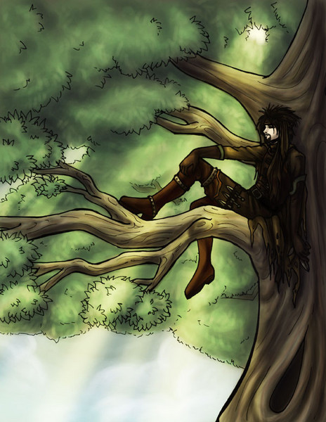 In a Tree