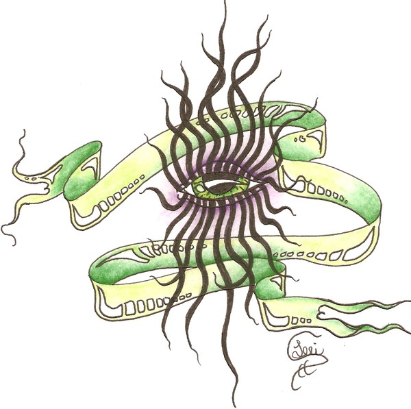 eye