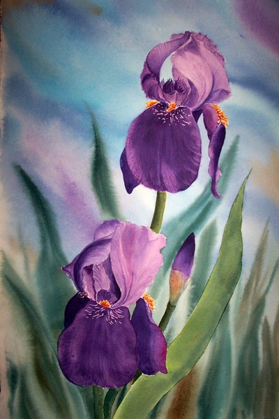 Two Irises