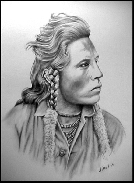 Curley a Crow scout