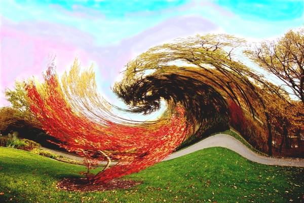 tree swirl