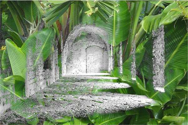 The Palm Courtyard