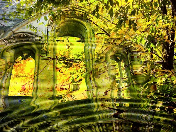 Water Courtyard